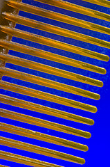 close up of hair comb teeth