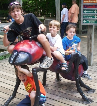 4 boys posing on ant statue at zoo