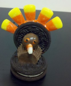 turkey placeholder finished